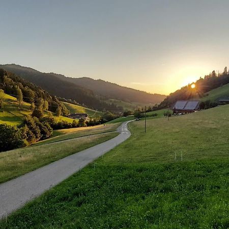 Апартаменты Irgendwo Im Schwarzwald Эльцах Экстерьер фото