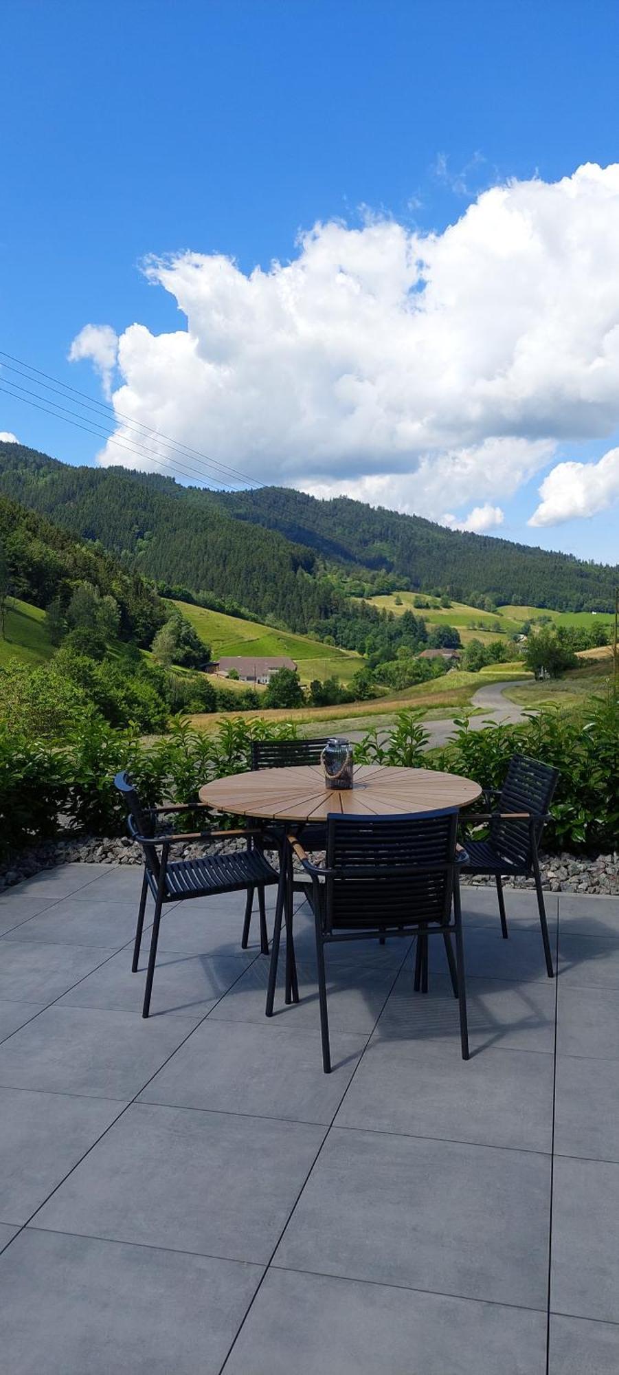 Апартаменты Irgendwo Im Schwarzwald Эльцах Экстерьер фото